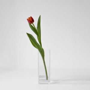 Tulipe rouge et jaune dans un vase de cristal transparent