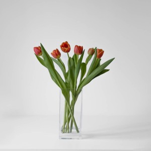 Bouquet de Tulipes rouges et jaunes dans un vase de cristal transparent